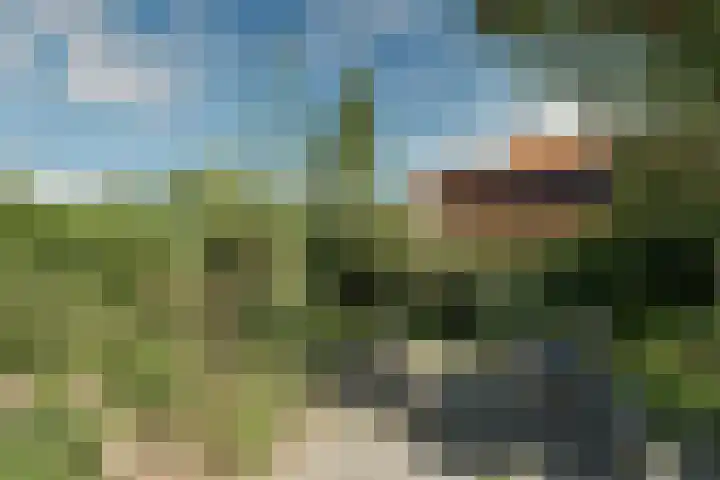 Oosterleek 2 Oosterleek thumbnail 27