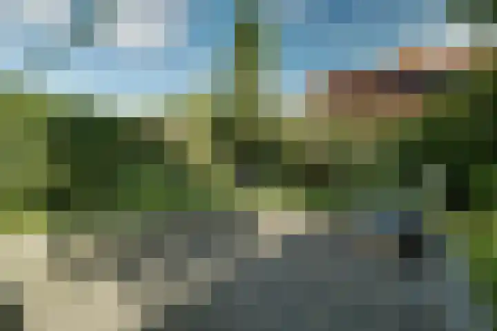 Oosterleek 2 Oosterleek thumbnail 28