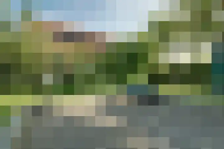Oosterleek 2 Oosterleek thumbnail 29