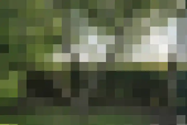Oosterleek 2 Oosterleek thumbnail 31