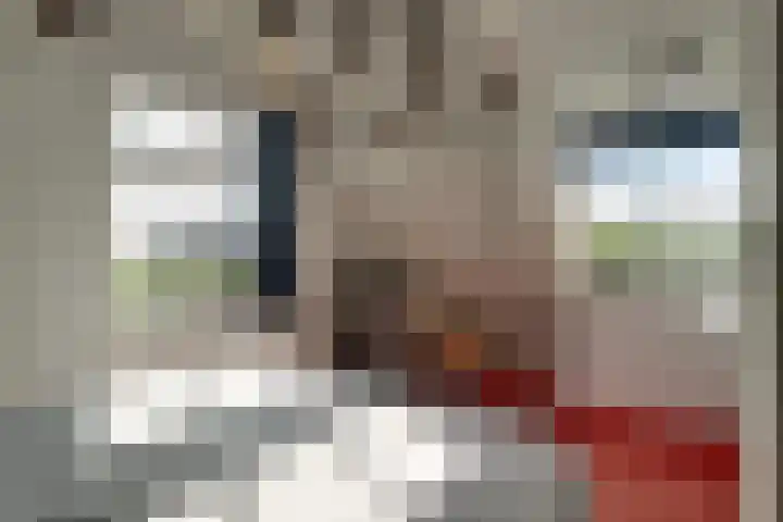 Oosterleek 2 Oosterleek thumbnail 38