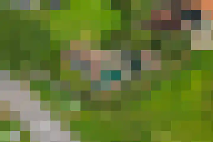 Oosterleek 2 Oosterleek thumbnail 4