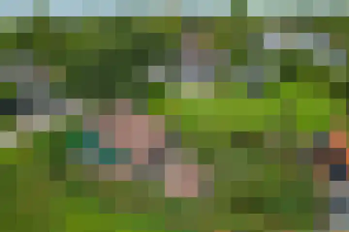 Oosterleek 2 Oosterleek thumbnail 44