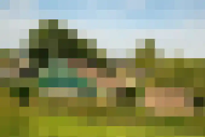 Oosterleek 2 Oosterleek thumbnail 45