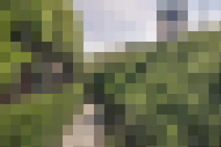 Oosterleek 2 Oosterleek thumbnail 46