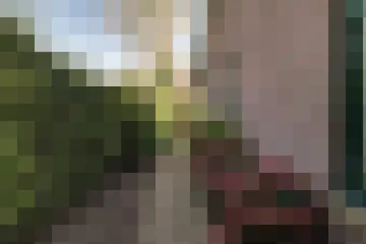 Oosterleek 2 Oosterleek thumbnail 47