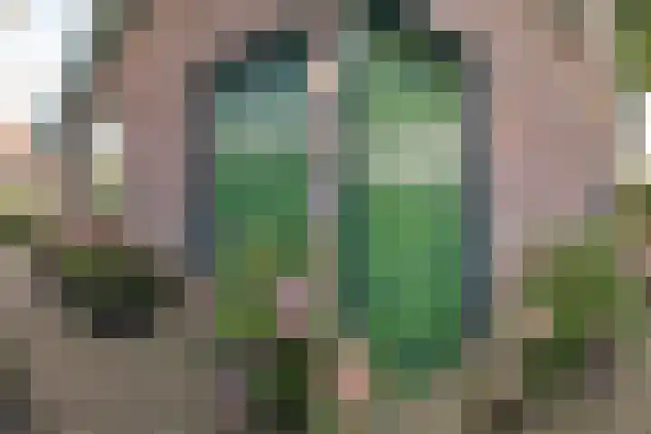 Oosterleek 2 Oosterleek thumbnail 48