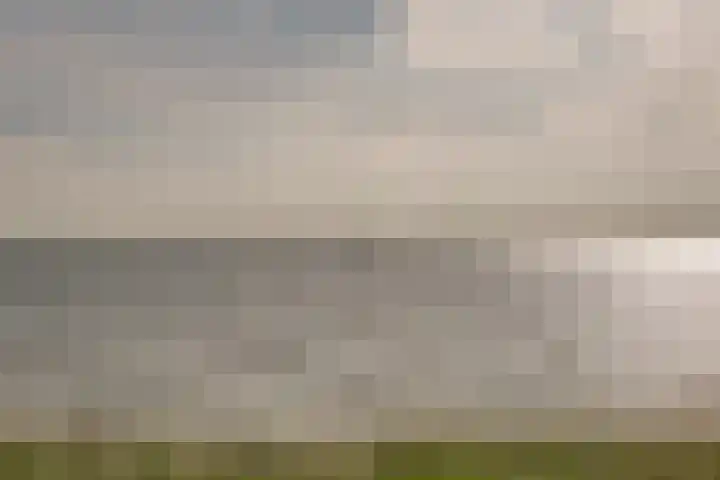 Oosterleek 2 Oosterleek thumbnail 50