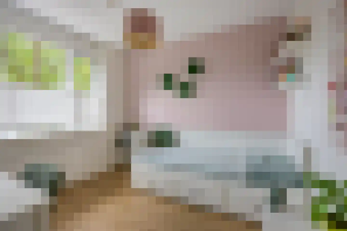 Oosterlengte 27 De Meern thumbnail 39