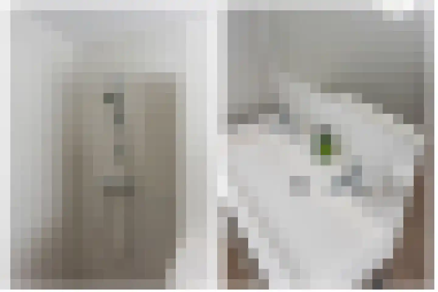 Oosterlengte 27 De Meern thumbnail 44