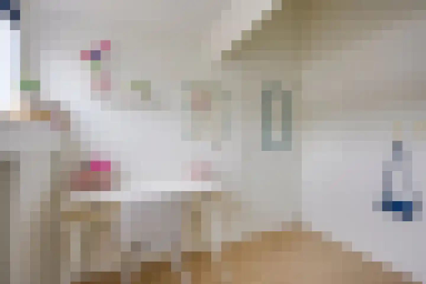 Oosterlengte 27 De Meern thumbnail 47