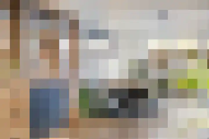 Oosterlingenhuis 16 Dronten thumbnail 13