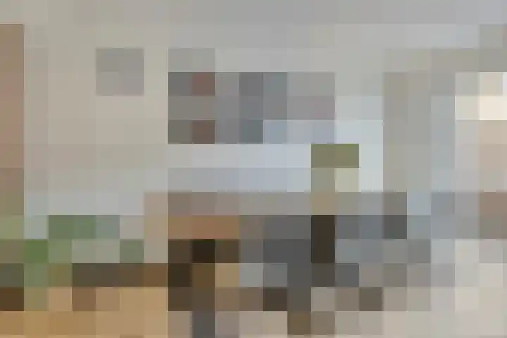Oosterlingenhuis 16 Dronten thumbnail 14