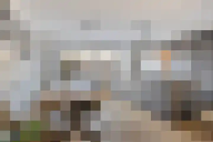 Oosterlingenhuis 16 Dronten thumbnail 17