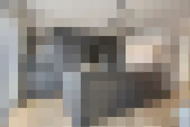 Oosterlingenhuis 16 Dronten thumbnail 18