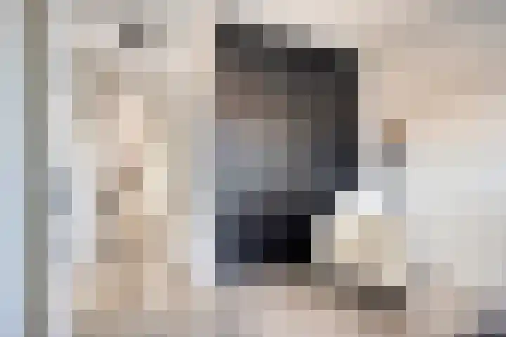 Oosterlingenhuis 16 Dronten thumbnail 26