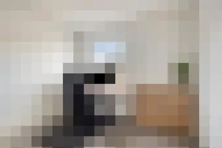 Oosterlingenhuis 16 Dronten thumbnail 27