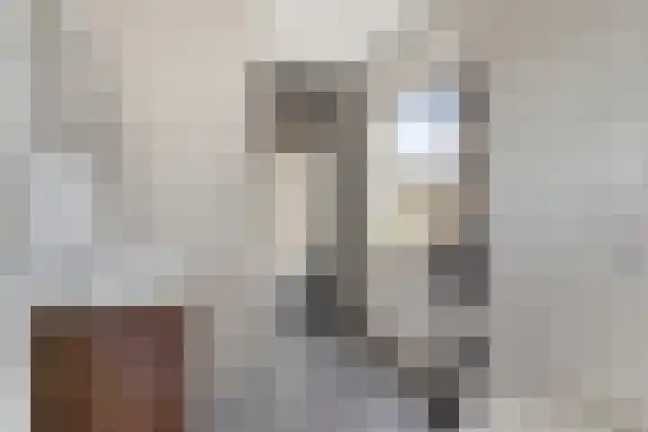 Oosterlingenhuis 16 Dronten thumbnail 30
