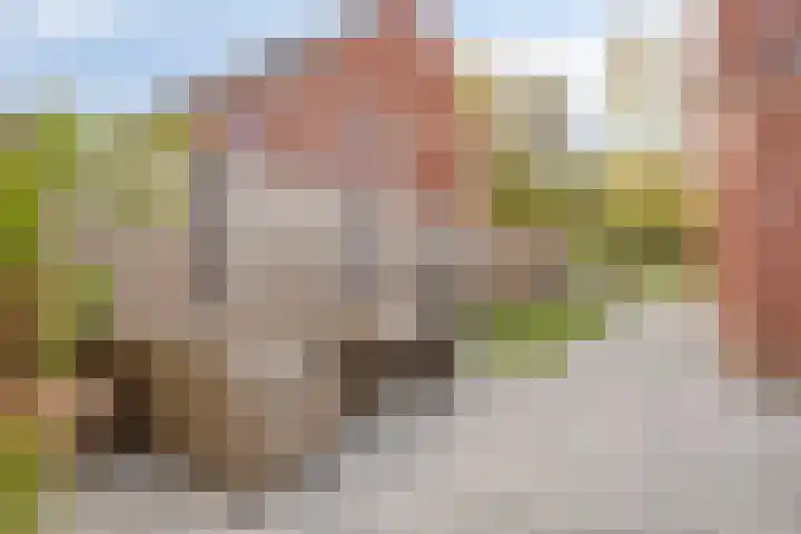 Oosterlingenhuis 16 Dronten thumbnail 38