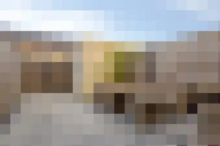 Oosterlingenhuis 16 Dronten thumbnail 39