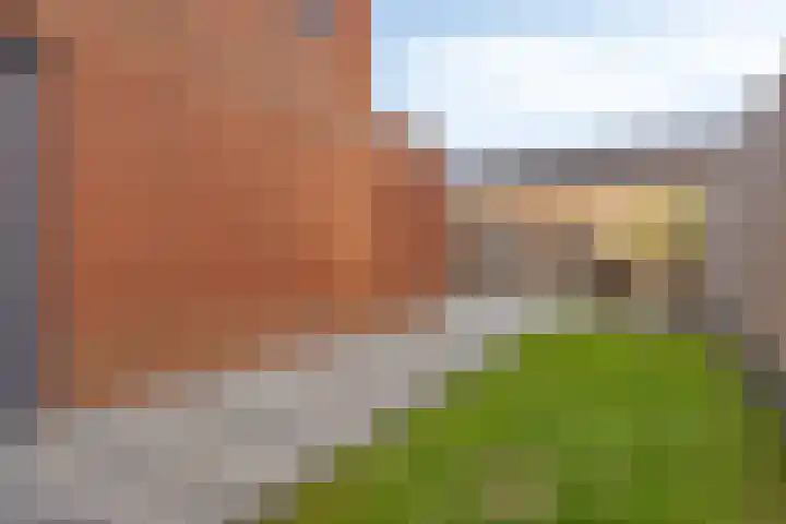 Oosterlingenhuis 16 Dronten thumbnail 40