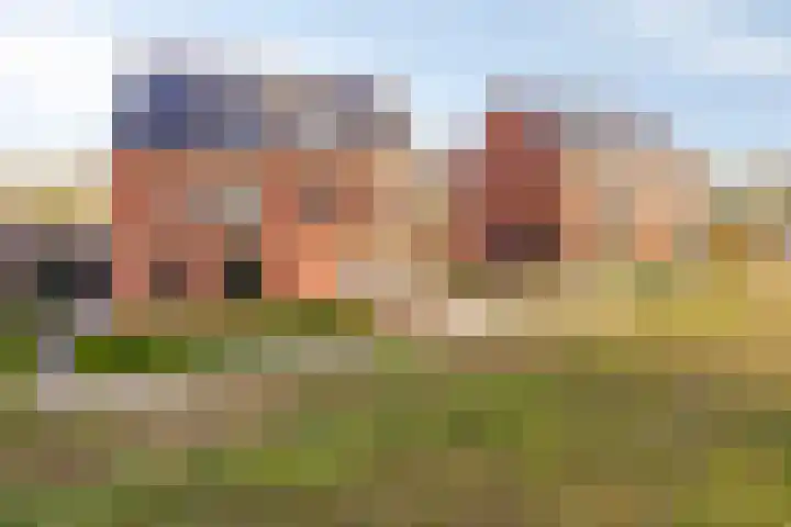 Oosterlingenhuis 16 Dronten thumbnail 43