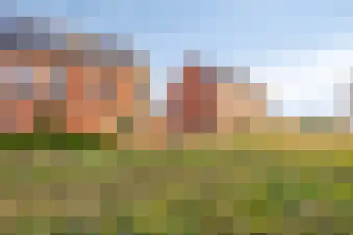 Oosterlingenhuis 16 Dronten thumbnail 44