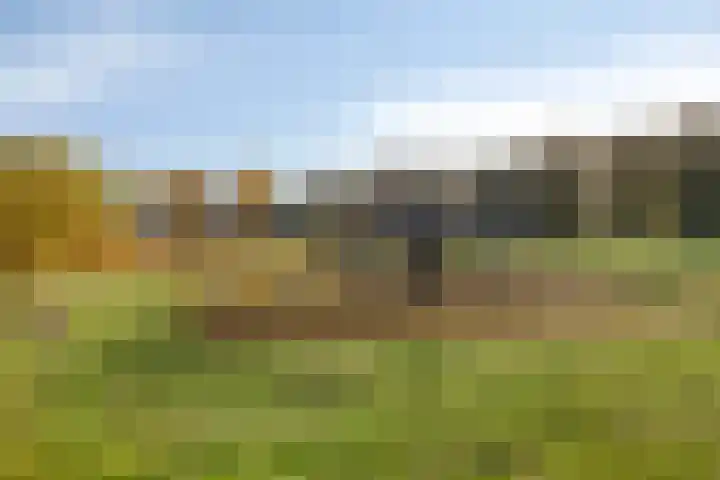 Oosterlingenhuis 16 Dronten thumbnail 45