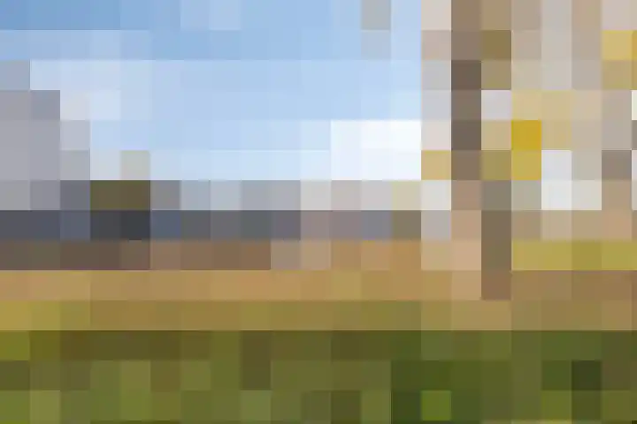 Oosterlingenhuis 16 Dronten thumbnail 46