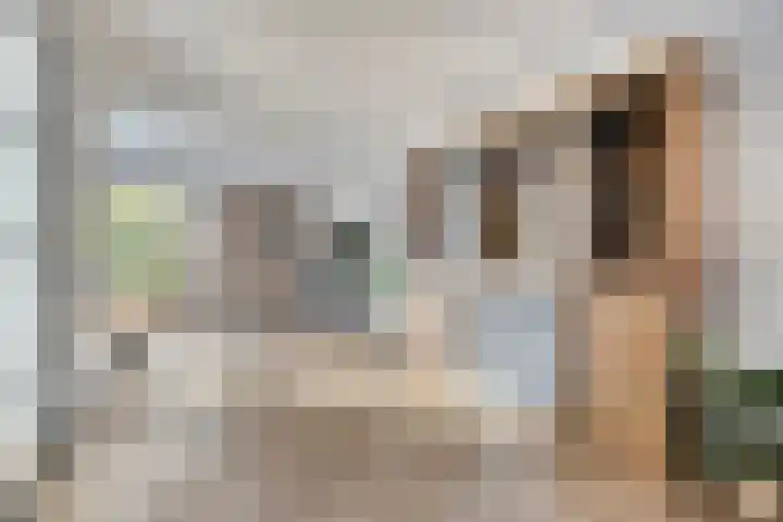 Oosterlingenhuis 16 Dronten thumbnail 8