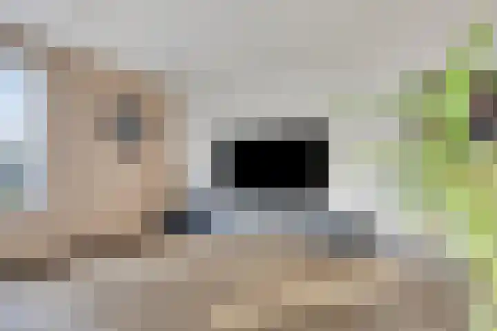 Oosterlingenhuis 16 Dronten thumbnail 9