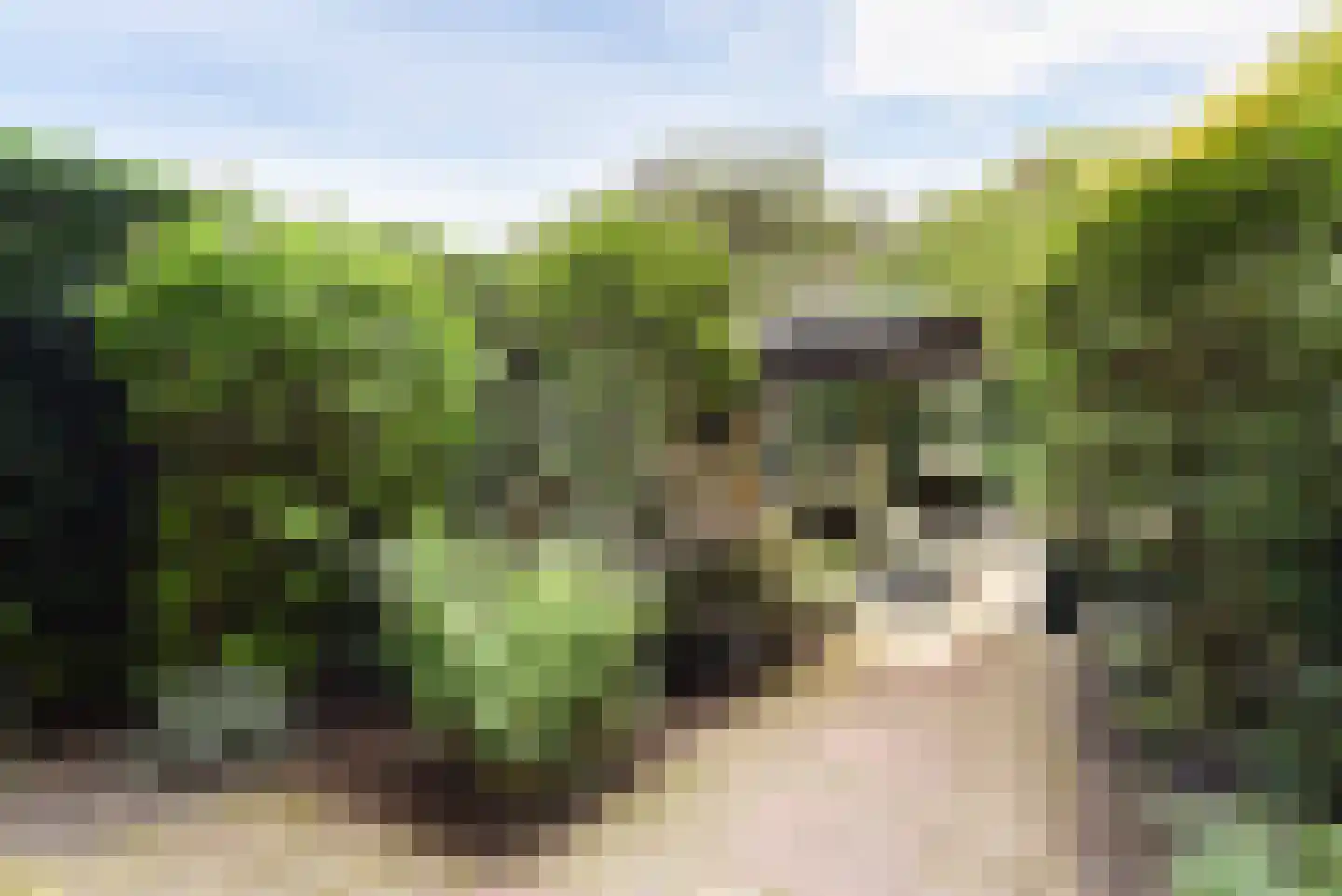 Oosterloostraat 25 Voorburg thumbnail 13