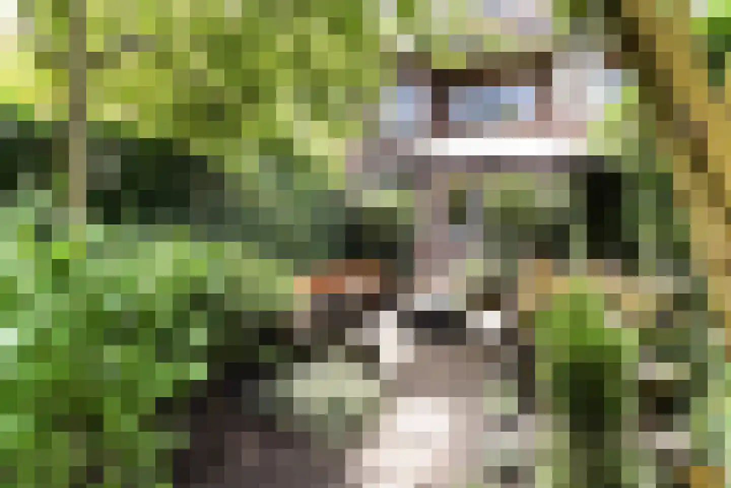 Oosterloostraat 25 Voorburg thumbnail 14