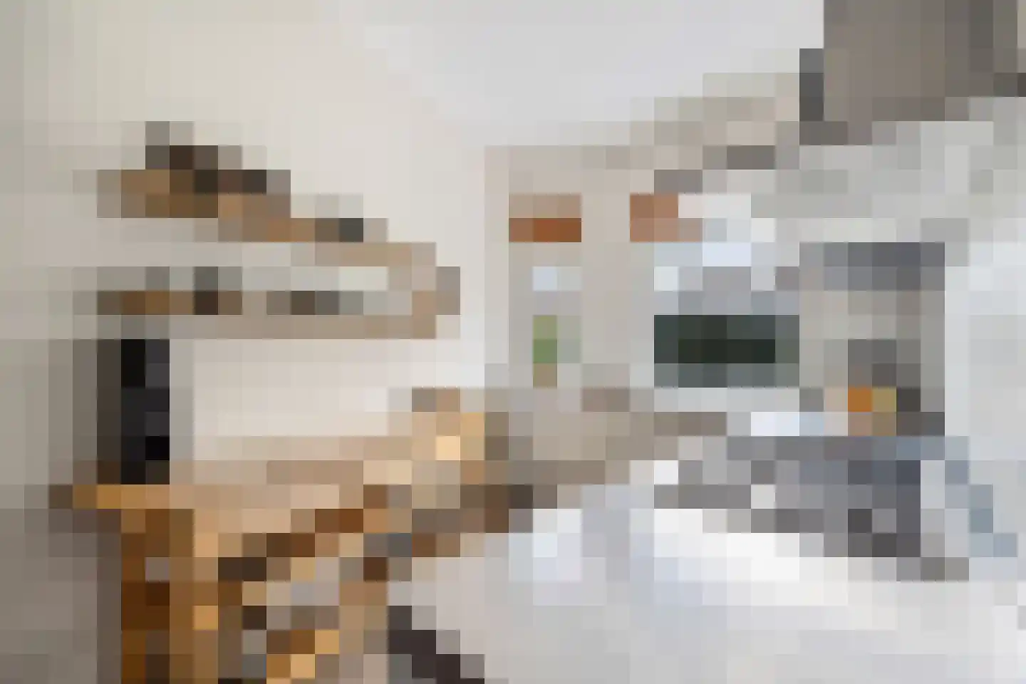 Oosterloostraat 25 Voorburg thumbnail 19