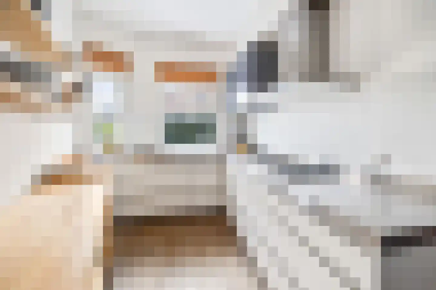 Oosterloostraat 25 Voorburg thumbnail 20