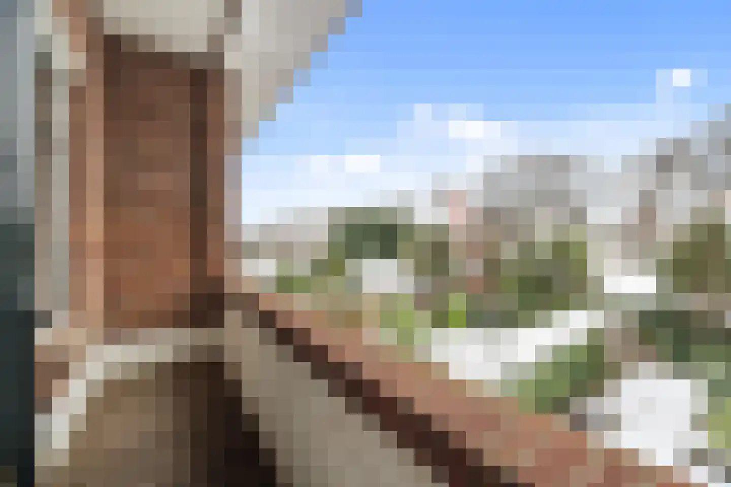 Oosterloostraat 25 Voorburg thumbnail 29
