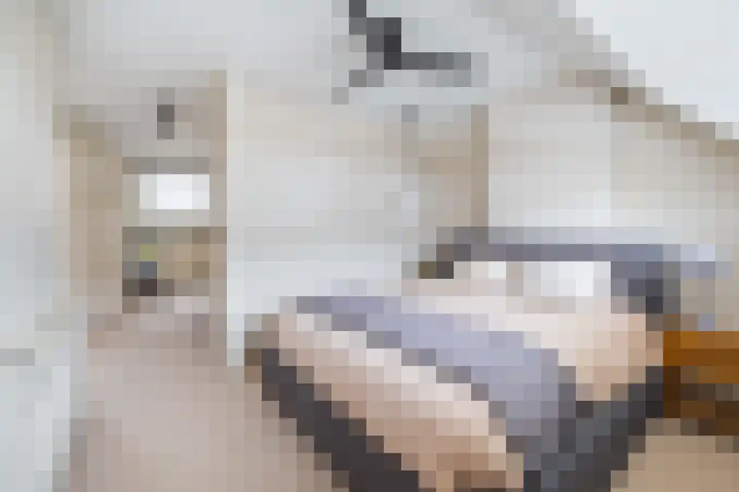 Oosterloostraat 25 Voorburg thumbnail 38