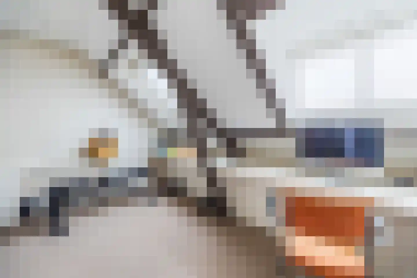 Oosterloostraat 25 Voorburg thumbnail 41