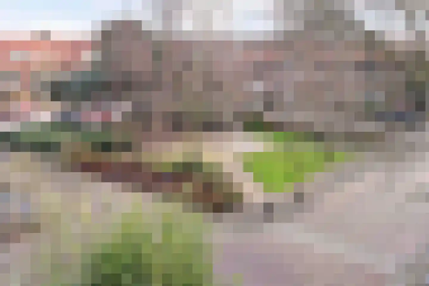 Oosterloostraat 25 Voorburg thumbnail 46