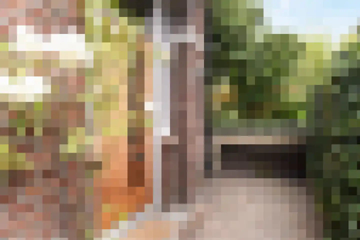 Oosterloostraat 25 Voorburg thumbnail 5