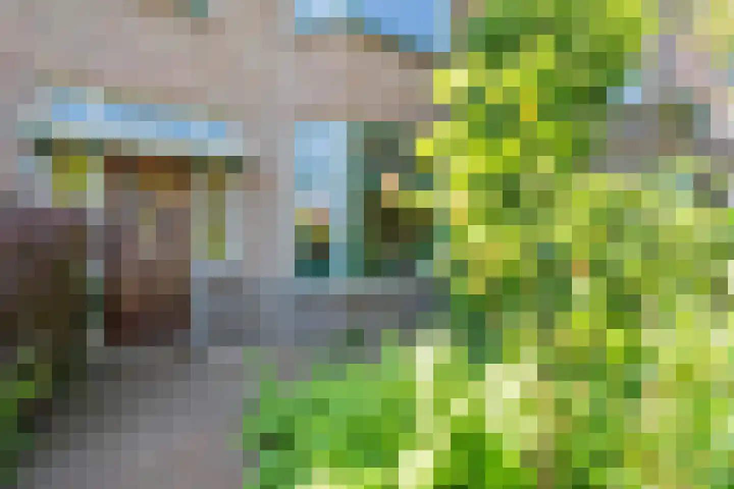 Oosterloostraat 8 Voorburg thumbnail 6