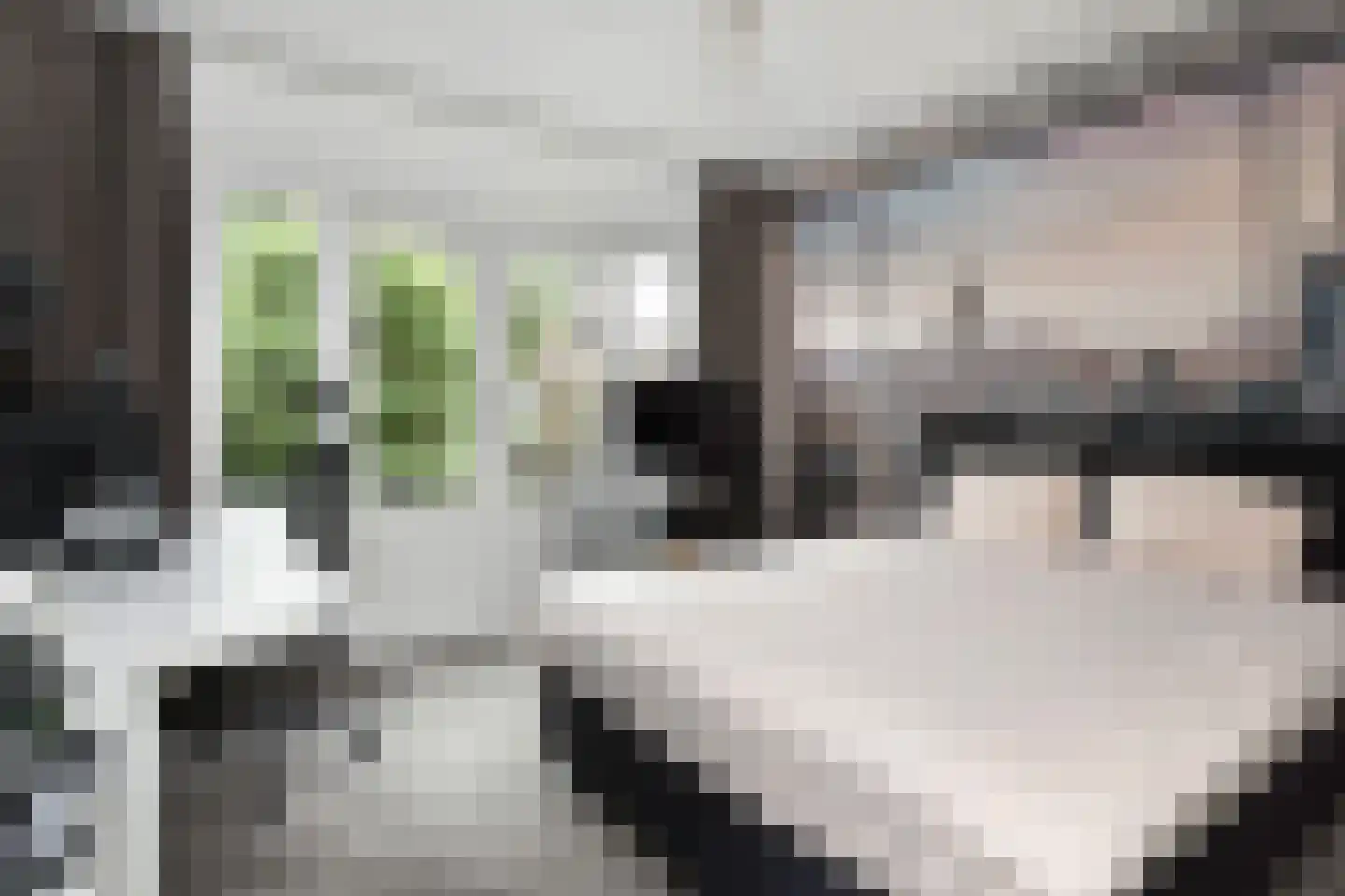 Oosterloostraat 9 Voorburg thumbnail 17