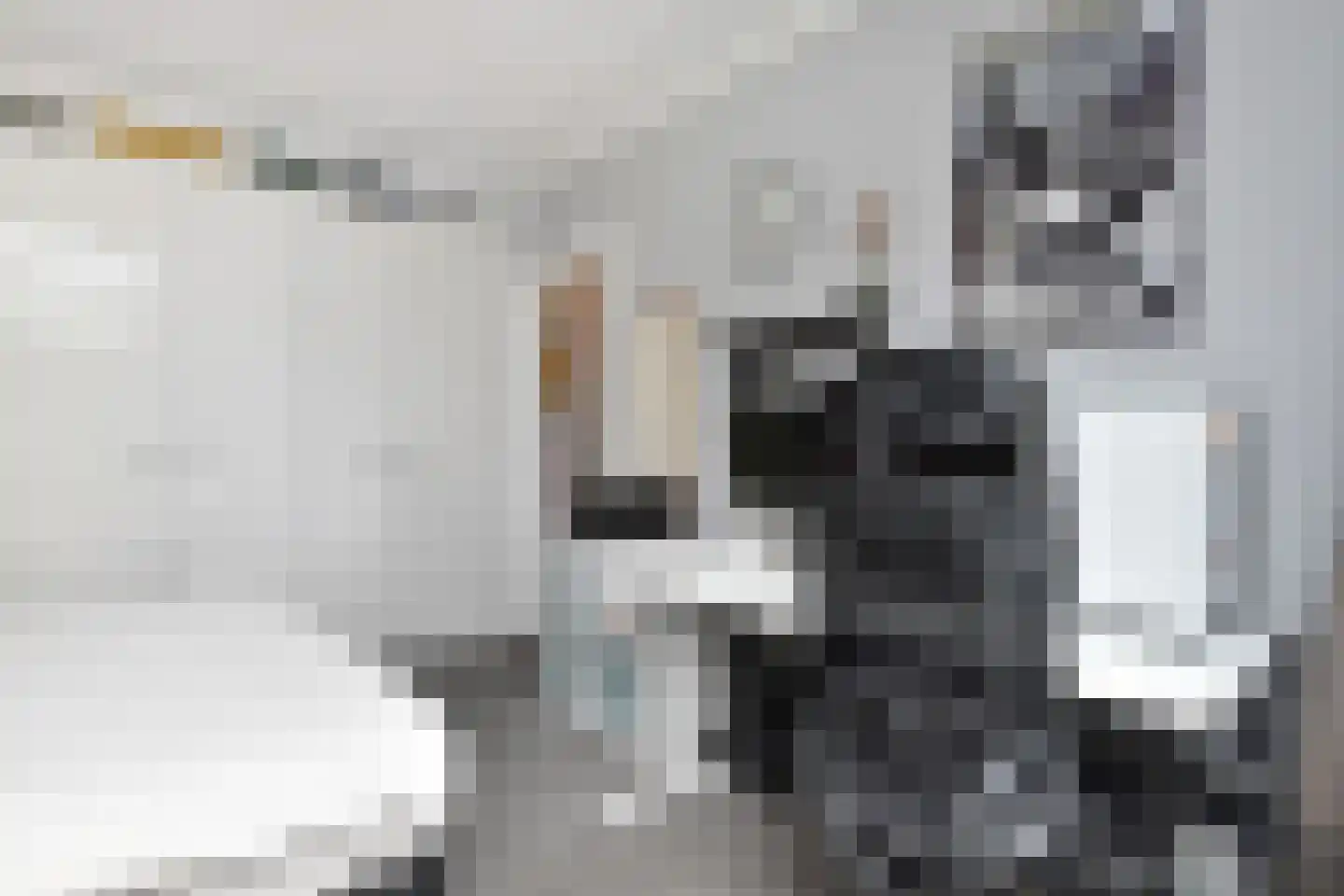 Oosterloostraat 9 Voorburg thumbnail 20