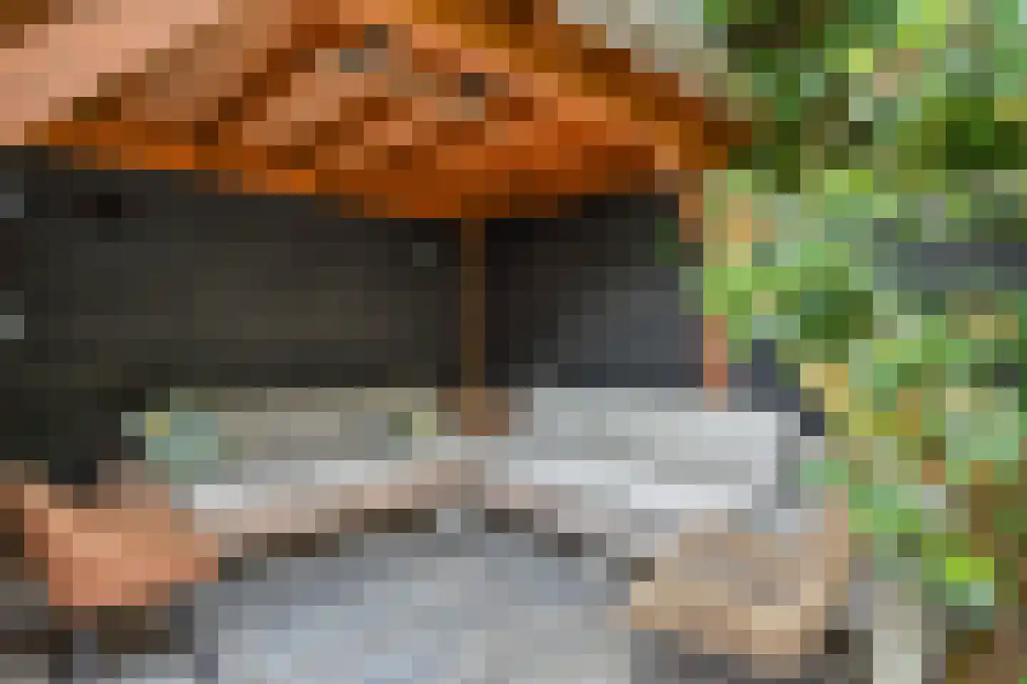 Oosterloostraat 9 Voorburg thumbnail 33
