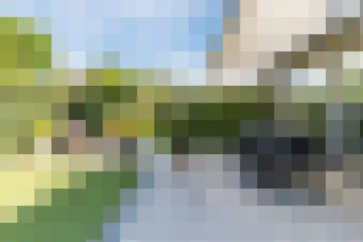 Oostermaasweg 39 Maastricht thumbnail 42