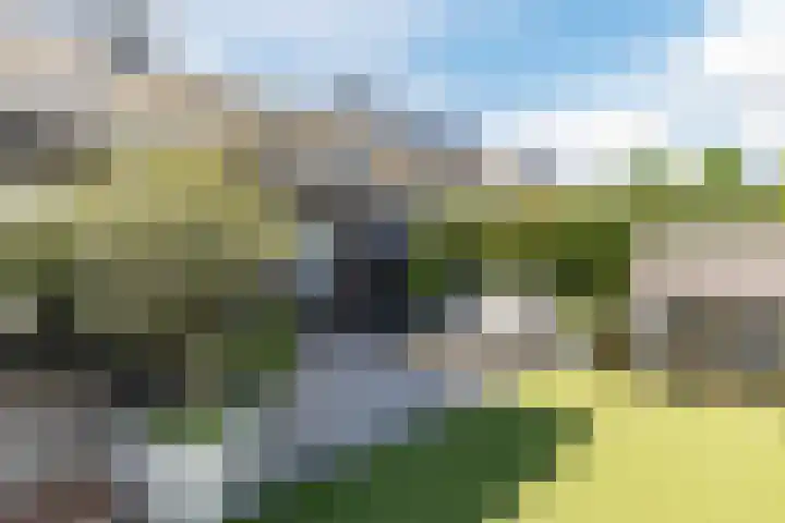 Oostermaasweg 39 Maastricht thumbnail 43
