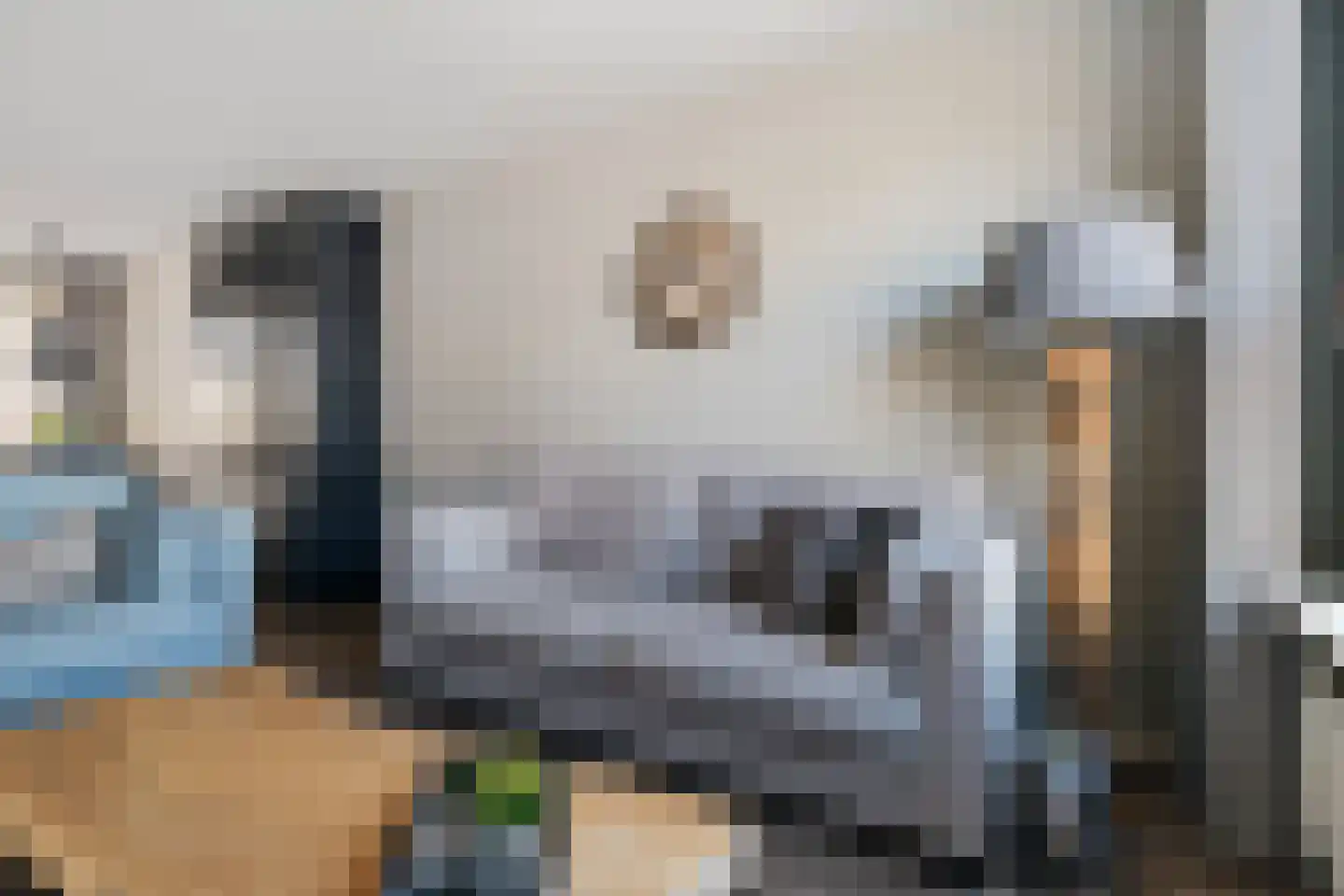 Oostermaat 28 Genemuiden thumbnail 11