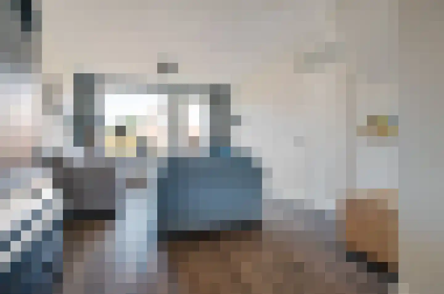 Oostermaat 28 Genemuiden thumbnail 13