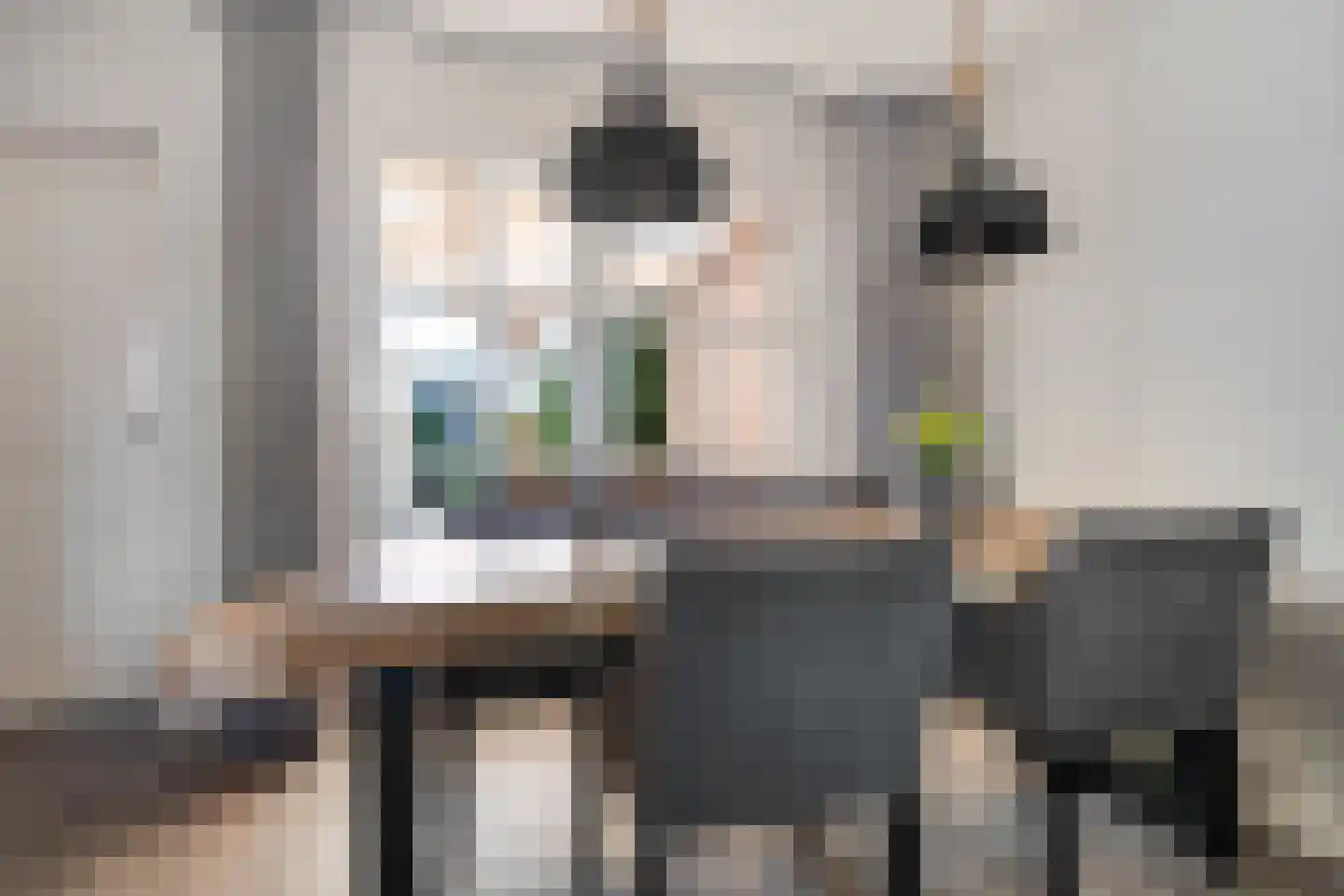 Oostermaat 28 Genemuiden thumbnail 14