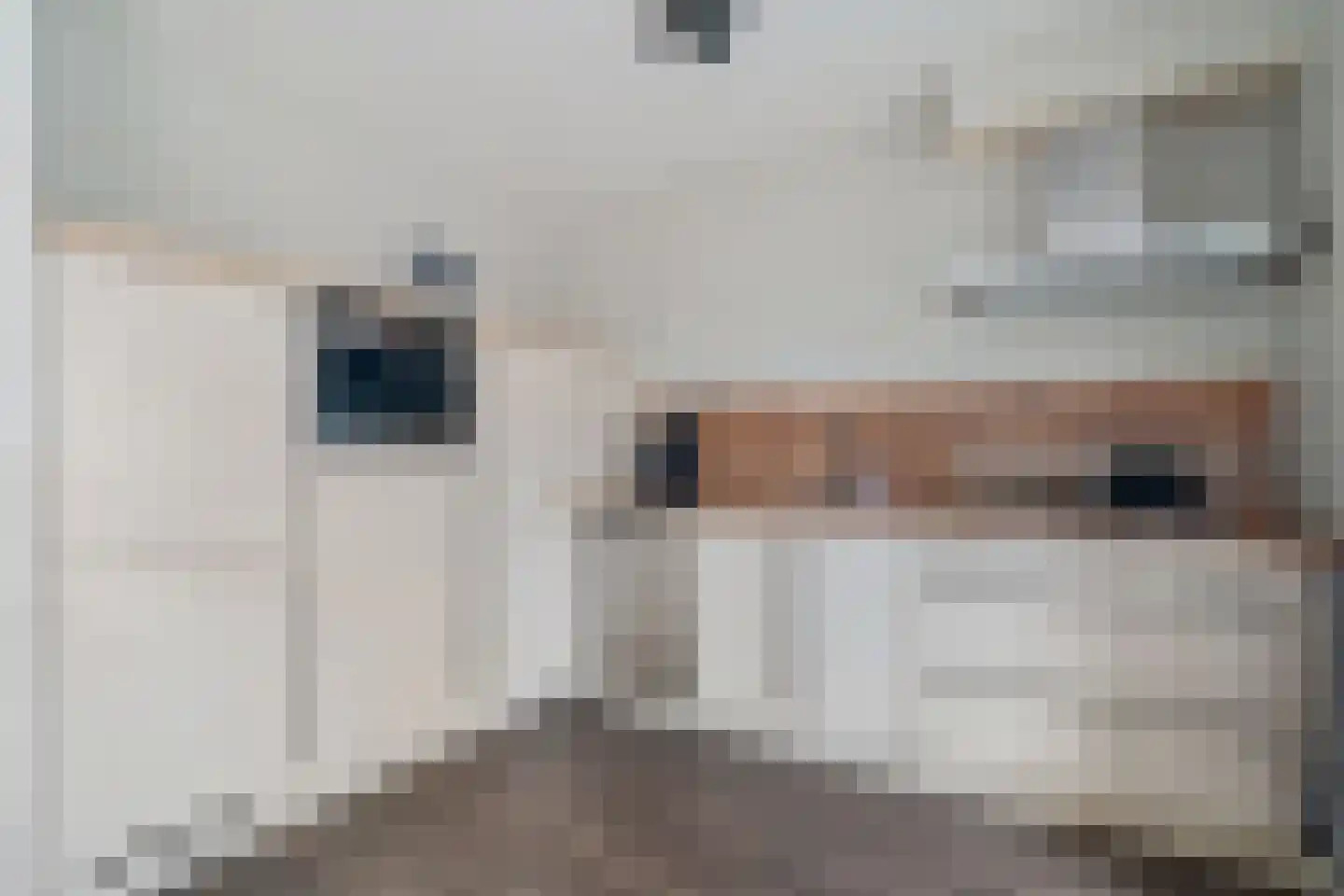Oostermaat 28 Genemuiden thumbnail 4